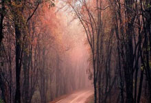 3胜0负！孙颖莎独取两分立功，国乒第一美女遭逆转，莎莎抢五真稳.