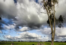 欢迎归来！库里单节投进3记三分拿到13分 慢慢找到状态.