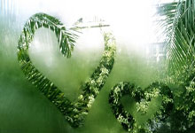 放心有我在！约老师篮下一柱擎天补篮打成2+1.