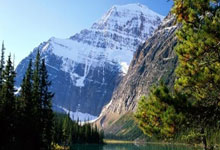 上海女排逆转天津，全运会资格赛展现战术升级与坚韧斗志.